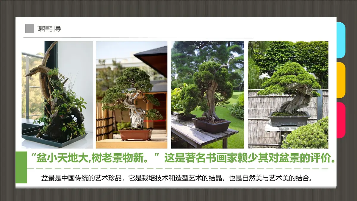 通用 学前教育 大班《古雅多姿的盆景》课件第4页