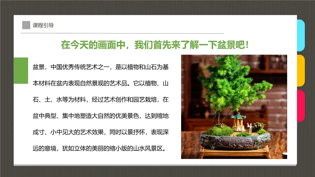 通用 学前教育 大班《古雅多姿的盆景》课件第6页