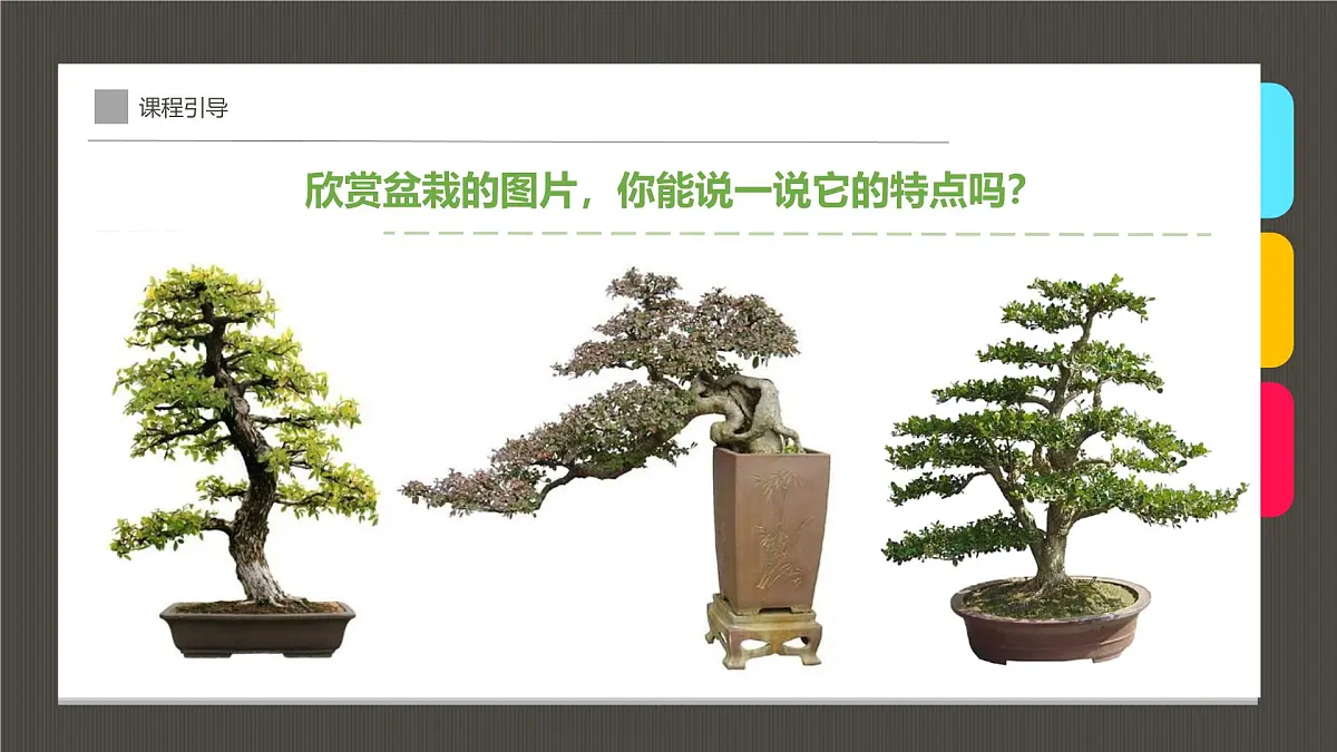 通用 学前教育 大班《古雅多姿的盆景》课件第7页