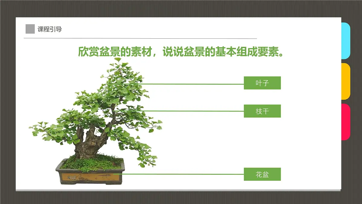 通用 学前教育 大班《古雅多姿的盆景》课件第8页