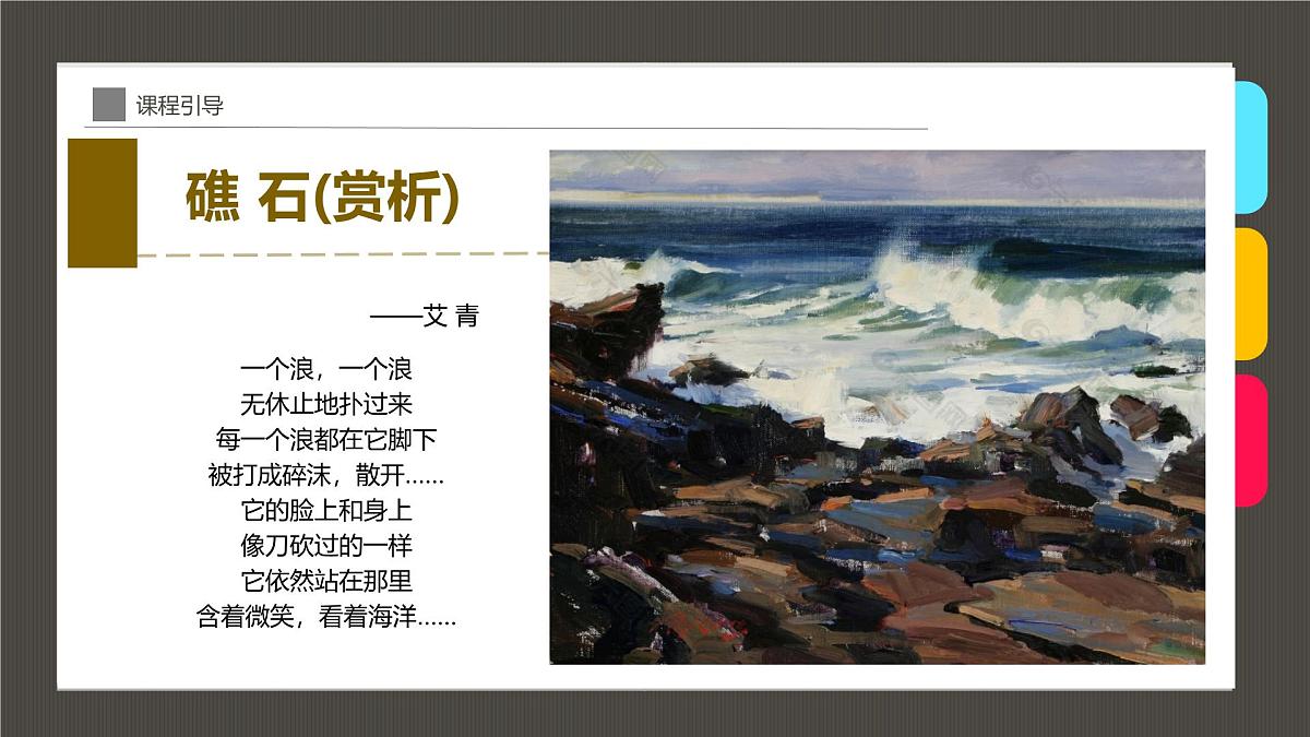通用  学前教育  大班《海岸礁石》课件第4页