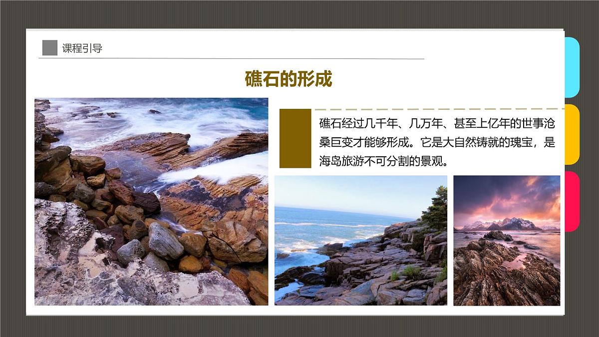 通用  学前教育  大班《海岸礁石》课件第7页