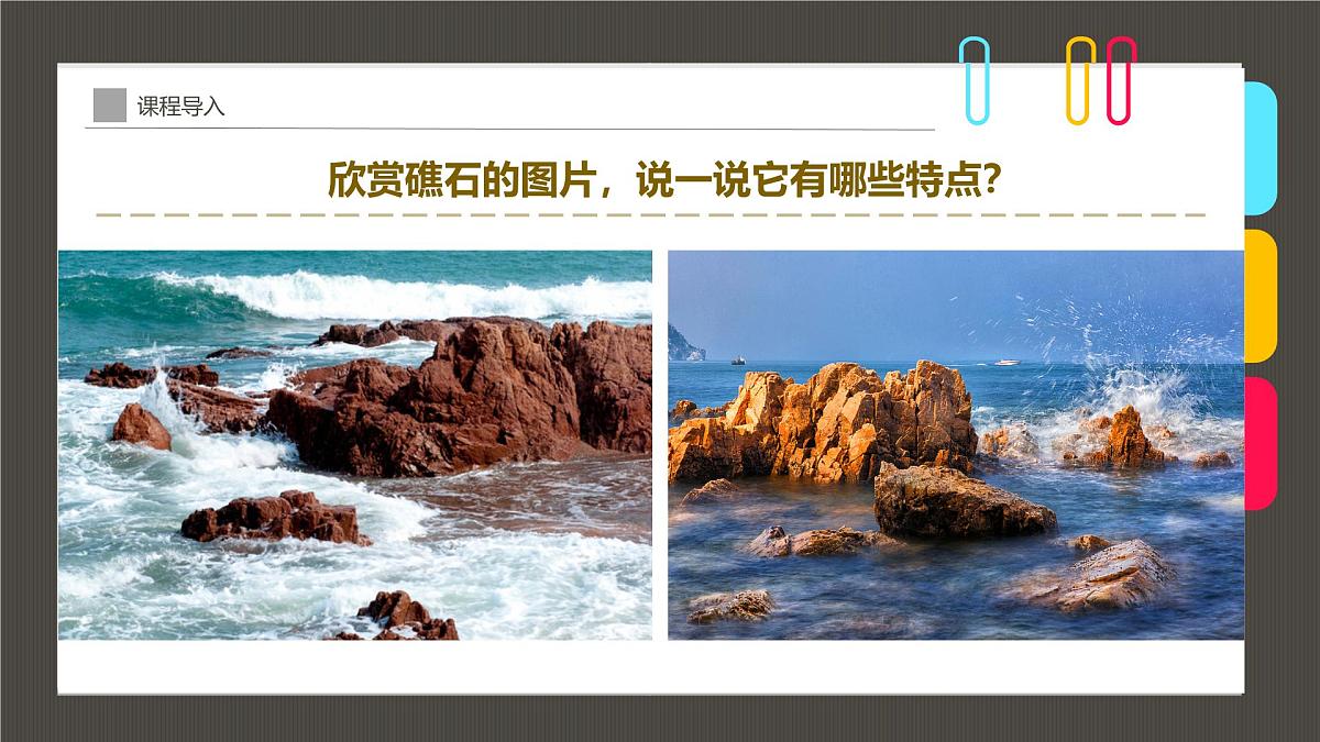 通用  学前教育  大班《海岸礁石》课件第8页