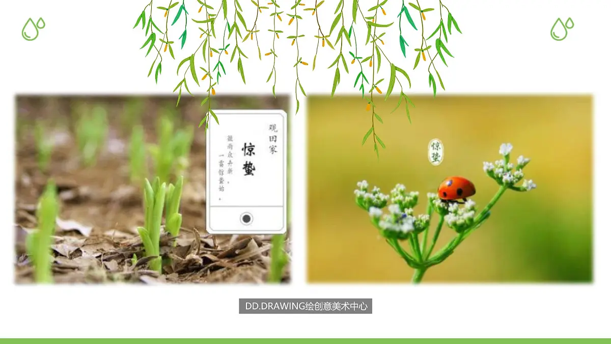 通用 学前教育 大班《惊蛰》课件第5页