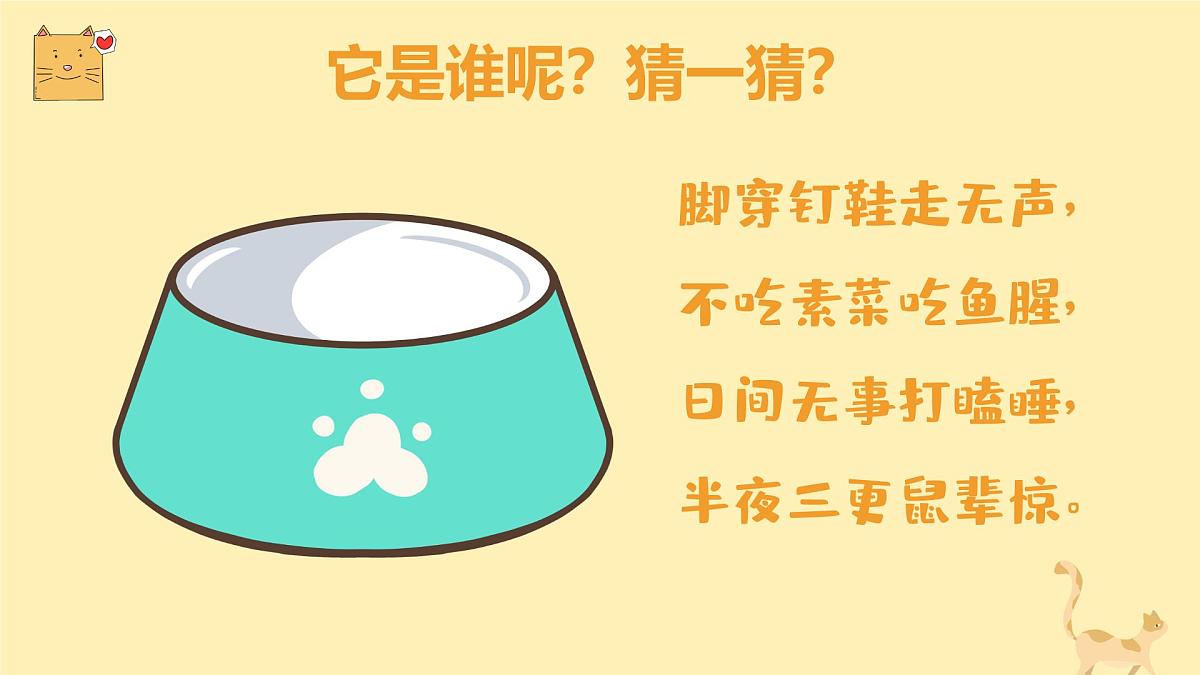 通用  学前教育  大班《顽皮的小猫》课件第3页