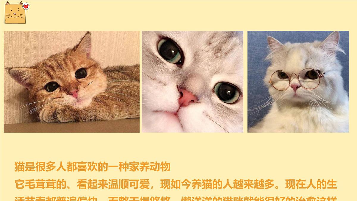 通用  学前教育  大班《顽皮的小猫》课件第4页