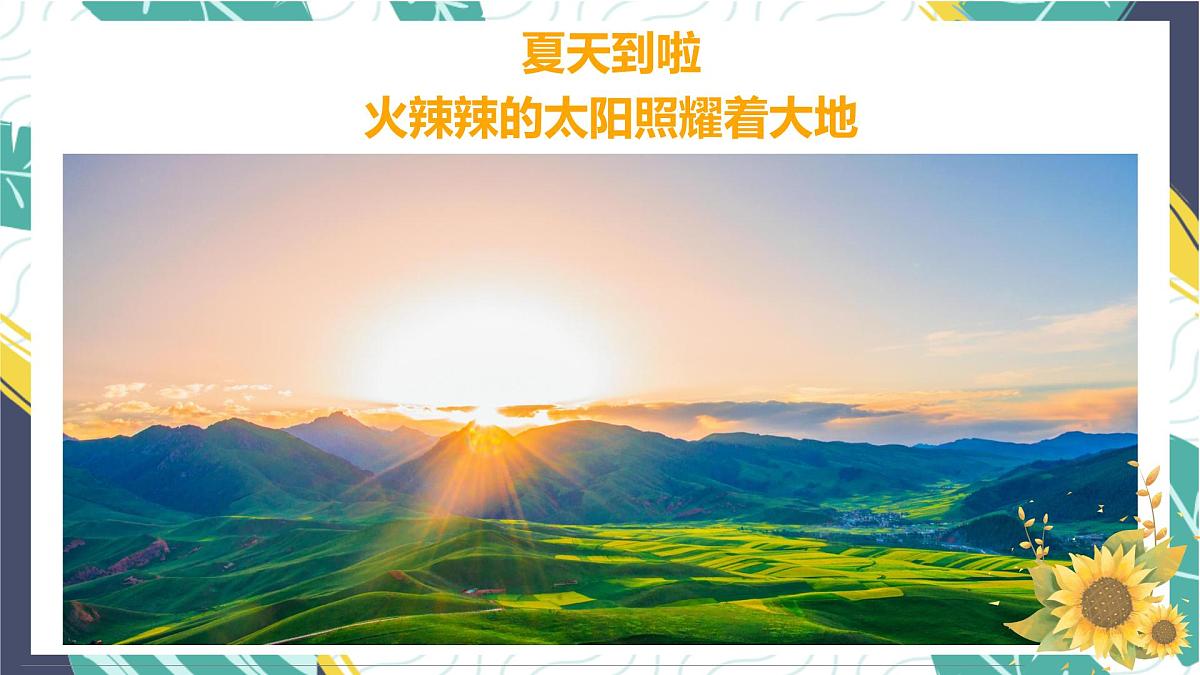 通用  学前教育  大班《金灿灿的向日葵》课件第3页