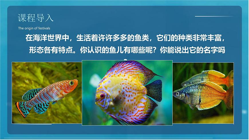通用 学前教育 大班《活泼的小鱼儿》课件第7页