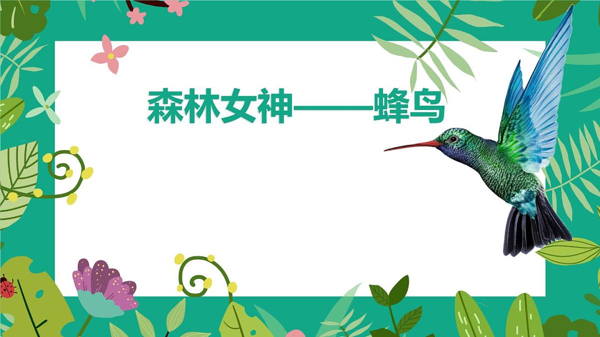 通用 学前教育 大班《森林女神-蜂鸟》课件第1页