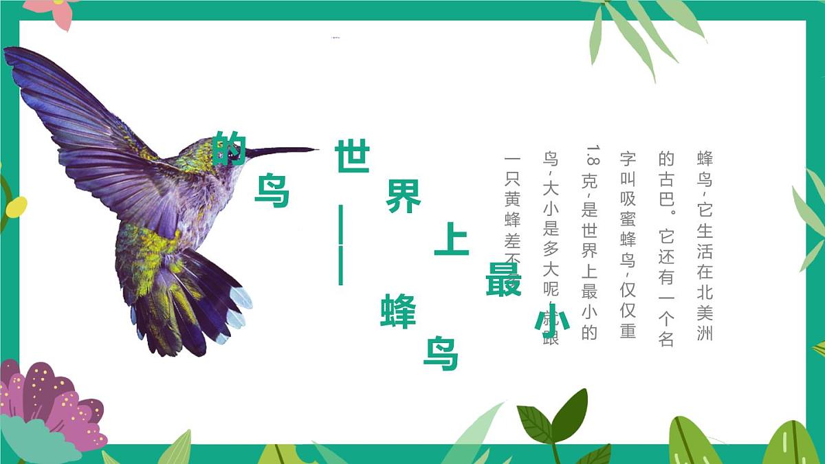 通用 学前教育 大班《森林女神-蜂鸟》课件第4页