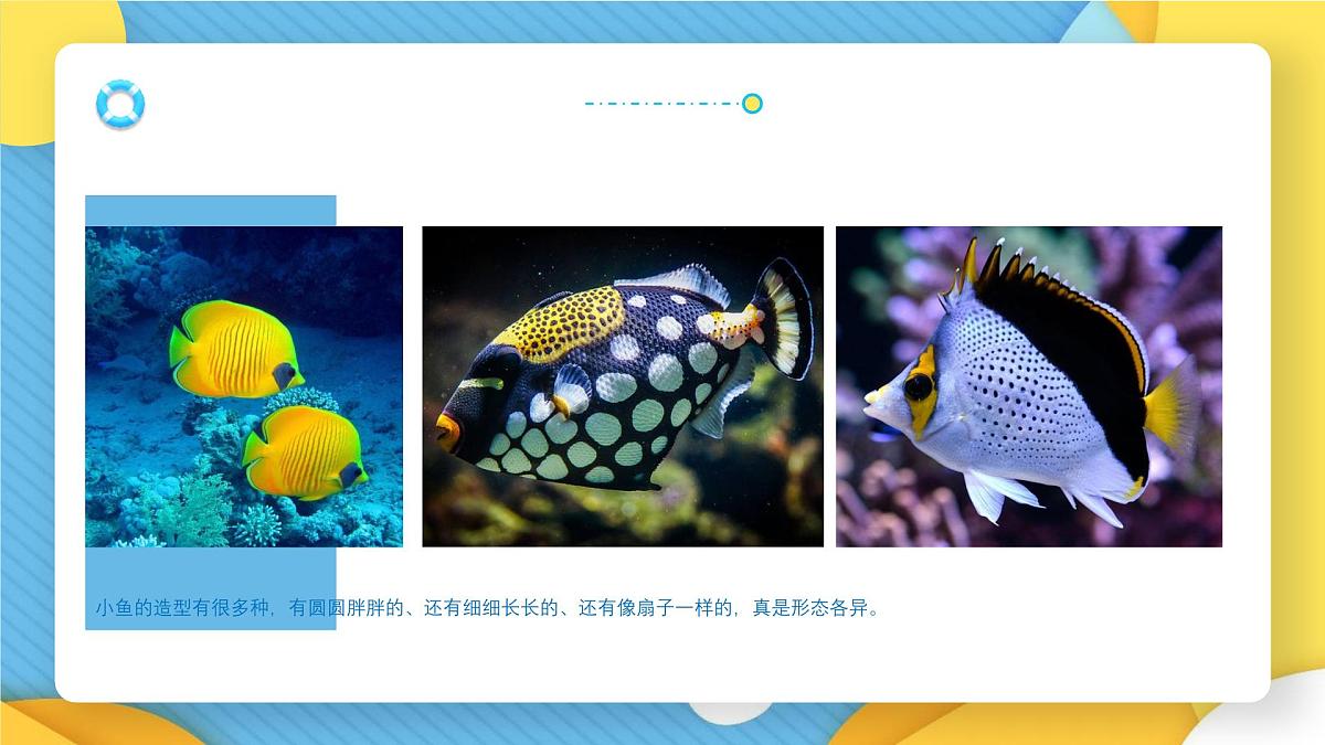 通用 学前教育 大班《海底小分队》课件第8页
