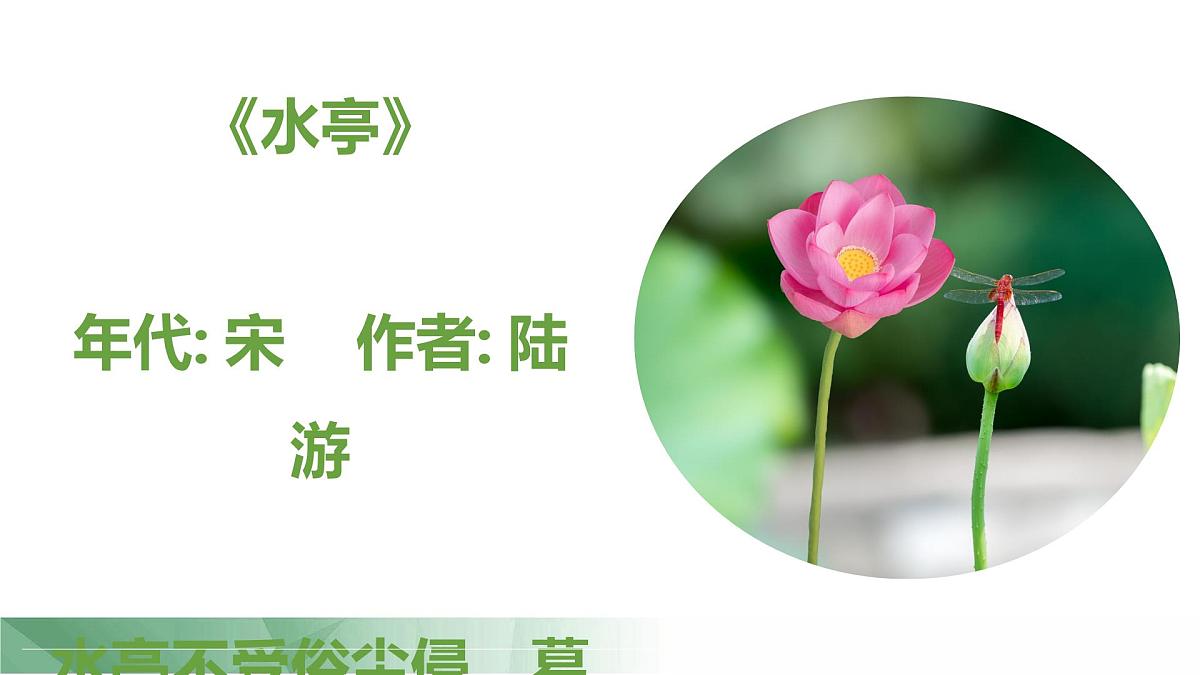 通用 学前教育 大班《夏日蜻蜓》课件第3页