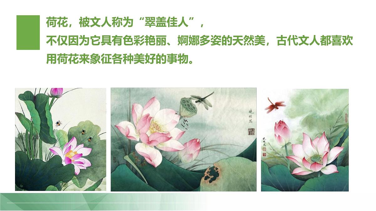 通用 学前教育 大班《夏日蜻蜓》课件第5页