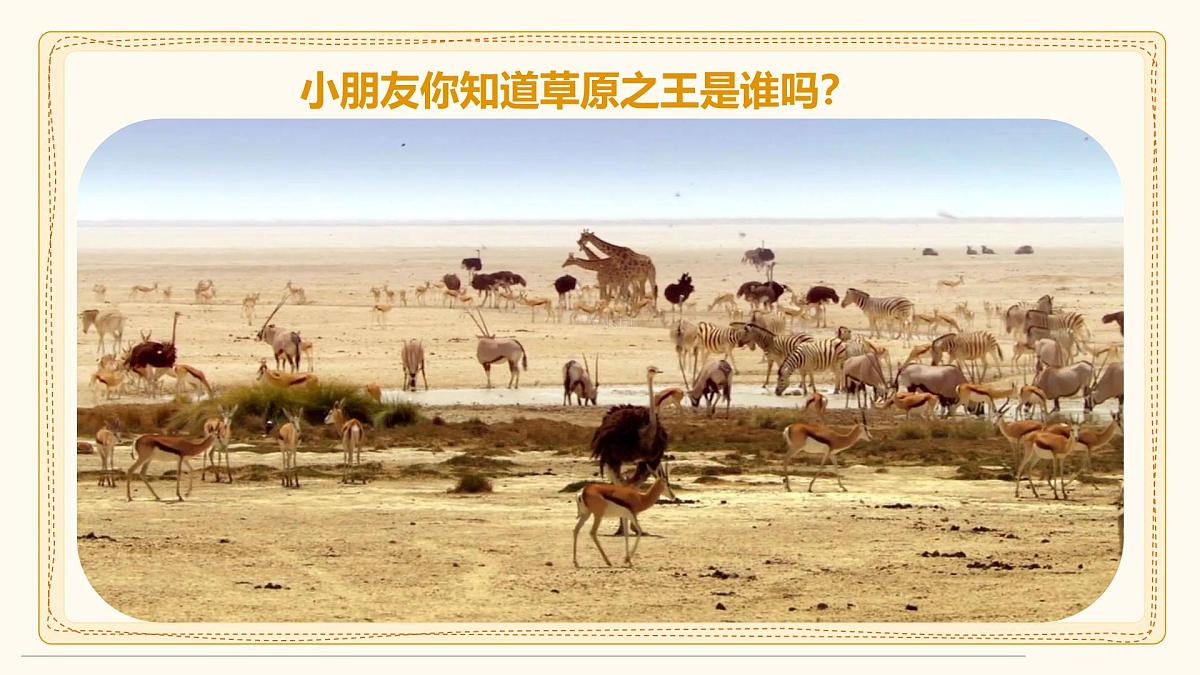 通用  学前教育  大班《威武的狮子头》课件第3页