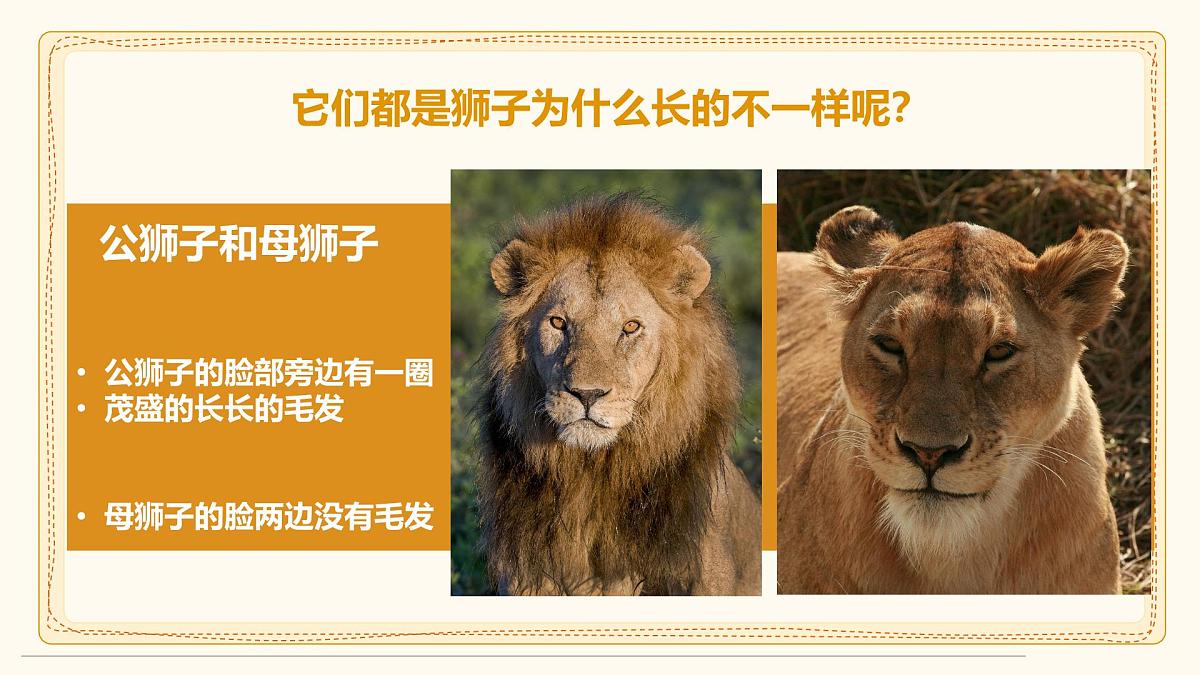 通用  学前教育  大班《威武的狮子头》课件第8页