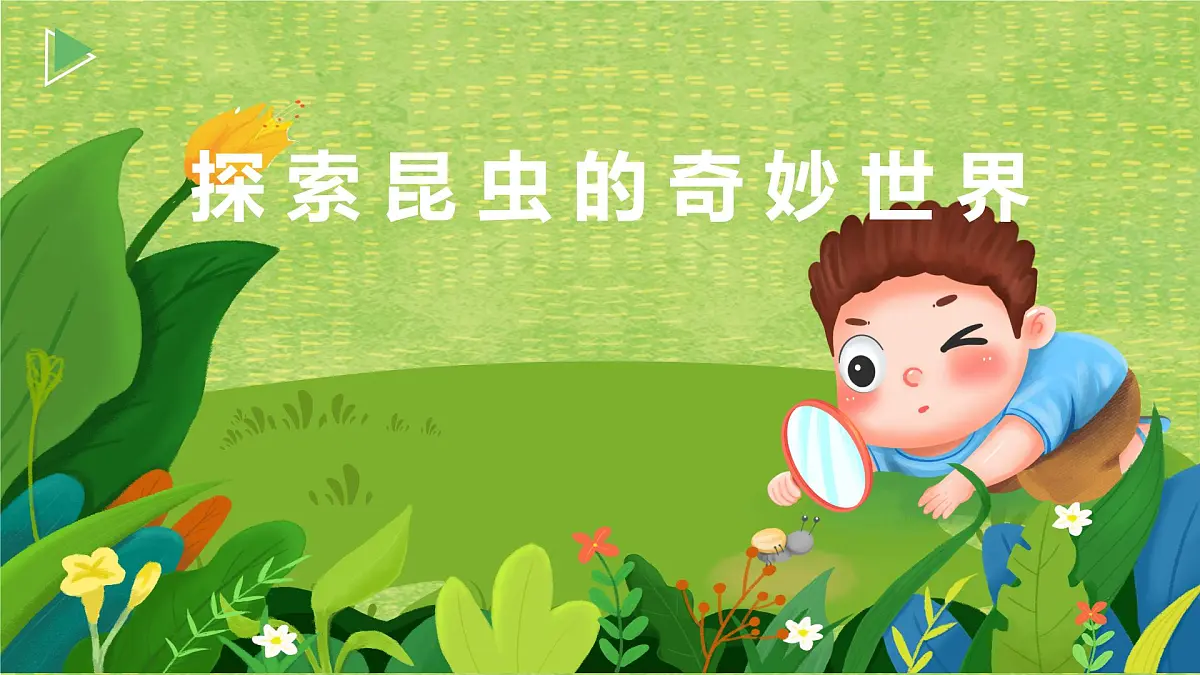 通用 学前教育 大班《探索昆虫的奇妙世界》课件第1页