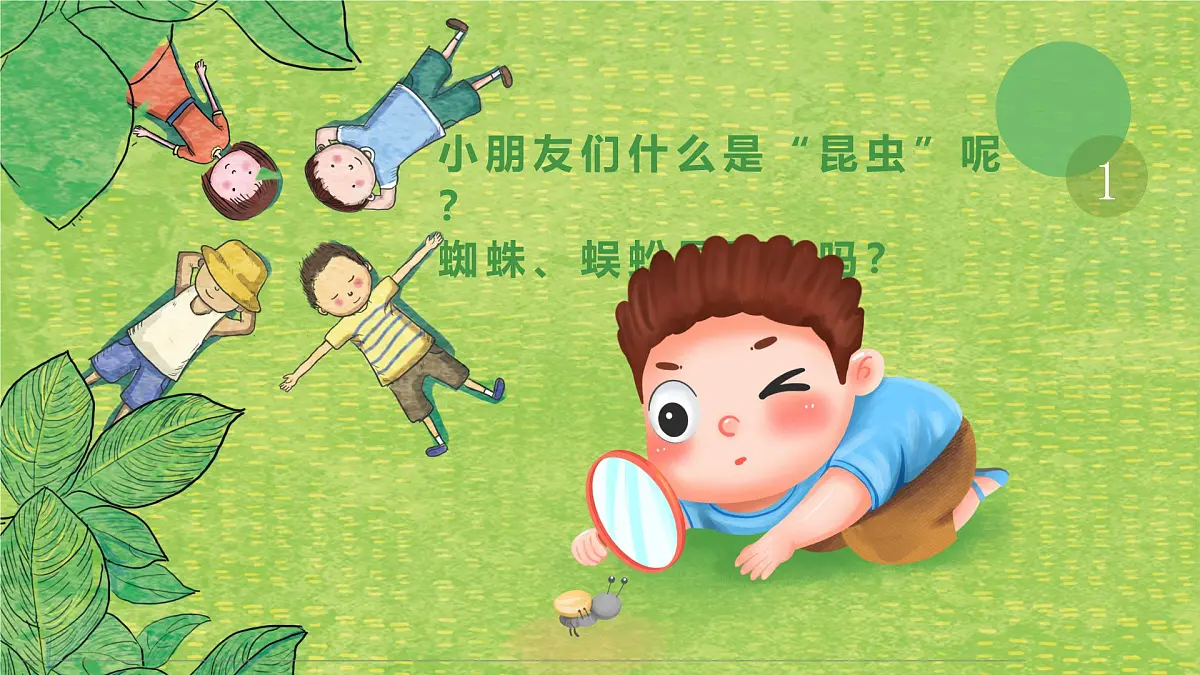 通用 学前教育 大班《探索昆虫的奇妙世界》课件第3页