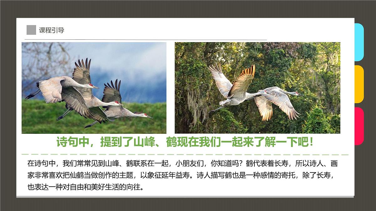 通用  学前教育  大班《青山鹤鸣》课件第6页