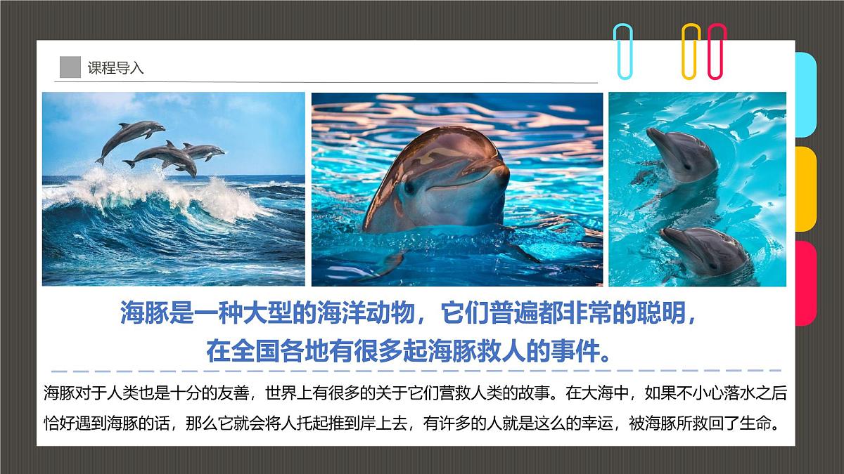 通用  学前教育  大班《夕阳下的“海上精灵”》课件第6页