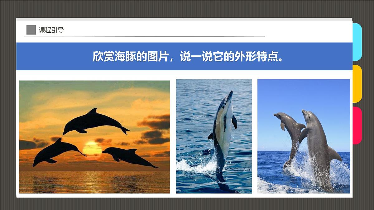 通用  学前教育  大班《夕阳下的“海上精灵”》课件第7页