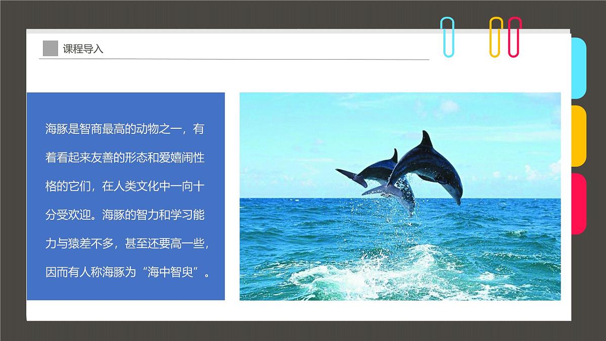 通用  学前教育  大班《夕阳下的“海上精灵”》课件第8页