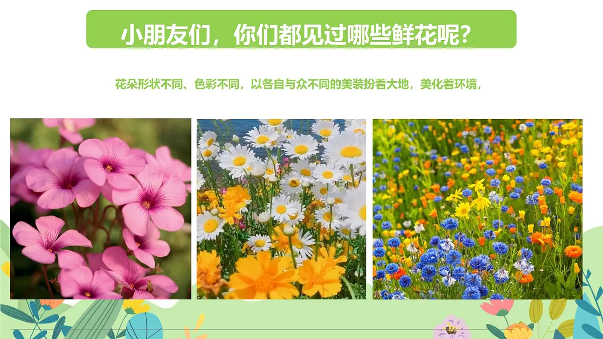 通用 学前教育 大班《遇见春天》课件第5页