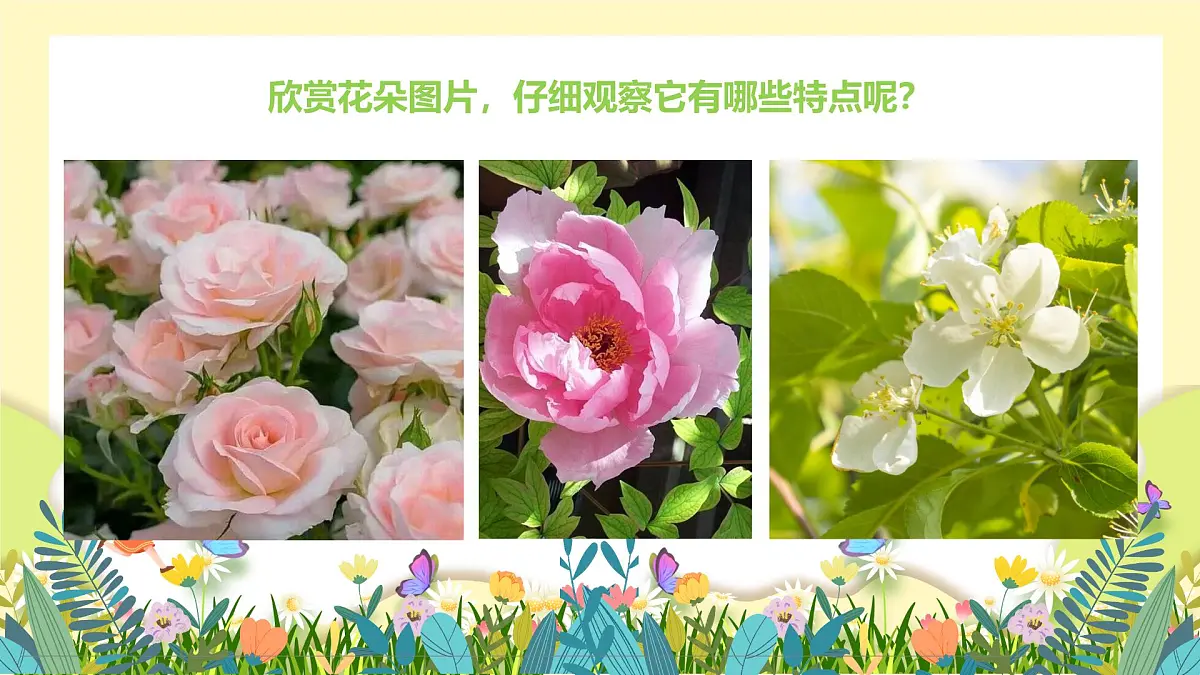 通用 学前教育 大班《遇见春天》课件第6页
