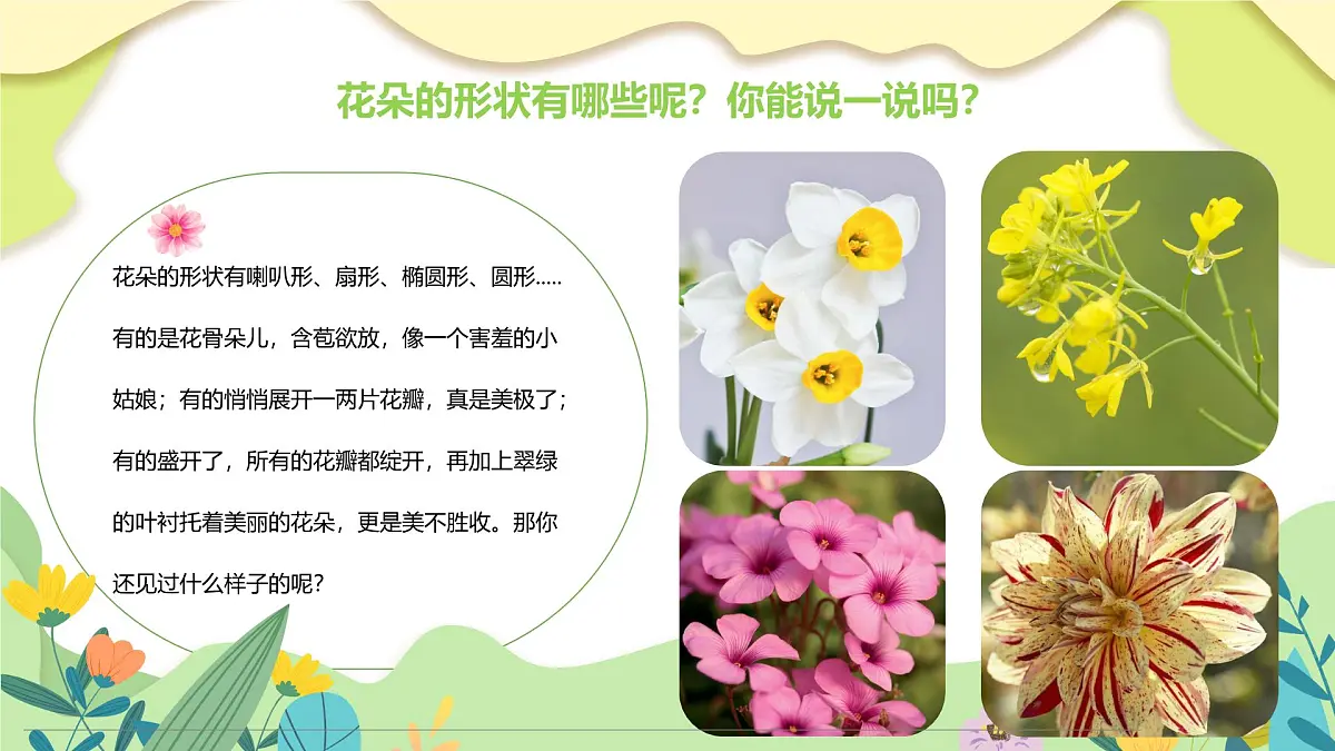 通用 学前教育 大班《遇见春天》课件第7页