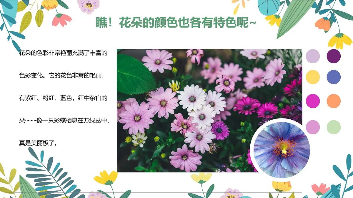 通用 学前教育 大班《遇见春天》课件第8页