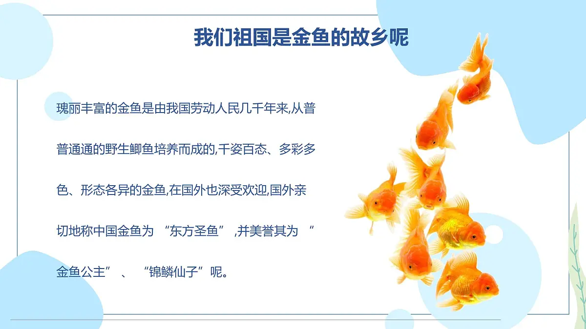 通用 学前教育 大班《“水中芭蕾”小金鱼》课件第6页