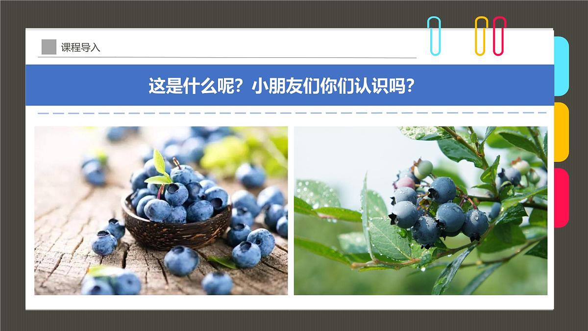 通用  学前教育  大班《植物中的“蓝精灵”》课件第4页