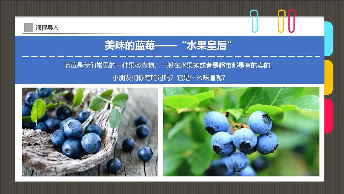 通用  学前教育  大班《植物中的“蓝精灵”》课件第5页