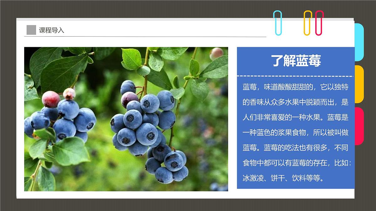 通用  学前教育  大班《植物中的“蓝精灵”》课件第6页