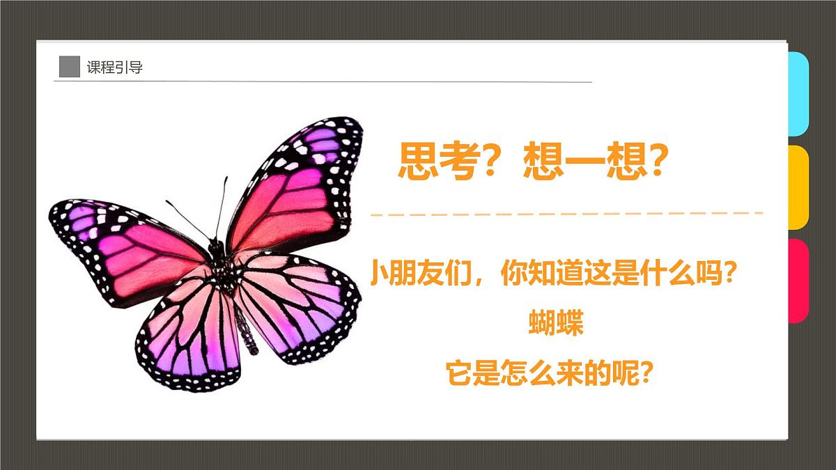 通用 学前教育 大班《童年趣事抓蝴蝶》课件第4页