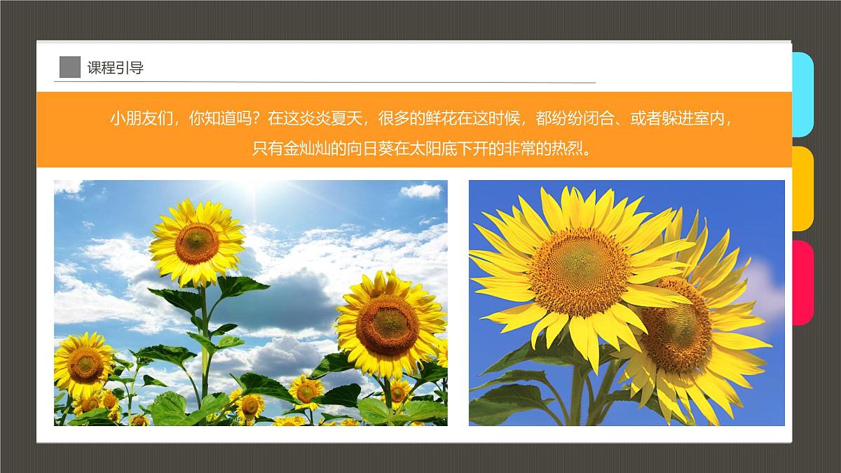 通用  学前教育  大班《点点点，点出朵朵向日葵》课件第6页