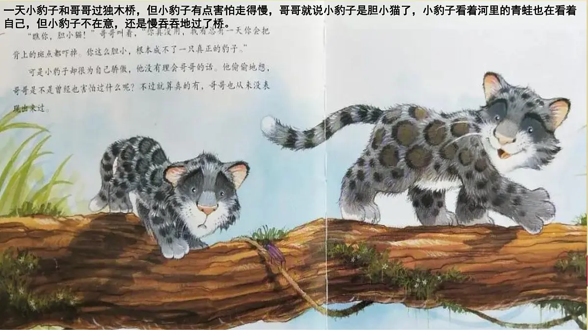 通用 学前教育 大班《丛林豹子》课件第8页
