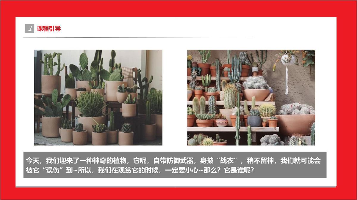 通用 学前教育 大班《”惹不起“的它》课件第4页
