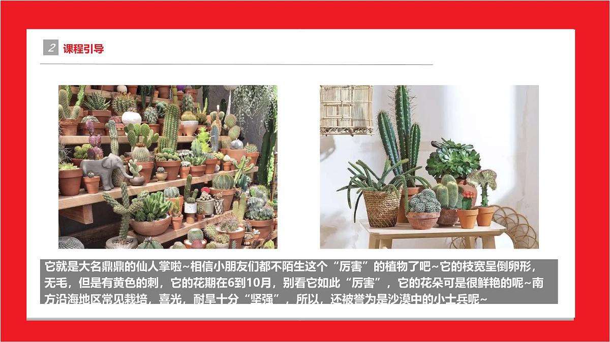 通用 学前教育 大班《”惹不起“的它》课件第5页