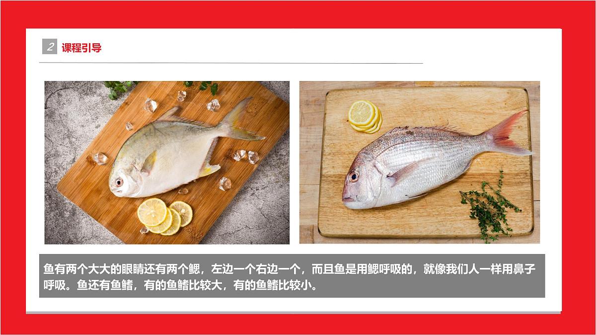 通用  学前教育  大班《案板上的鱼》课件第5页