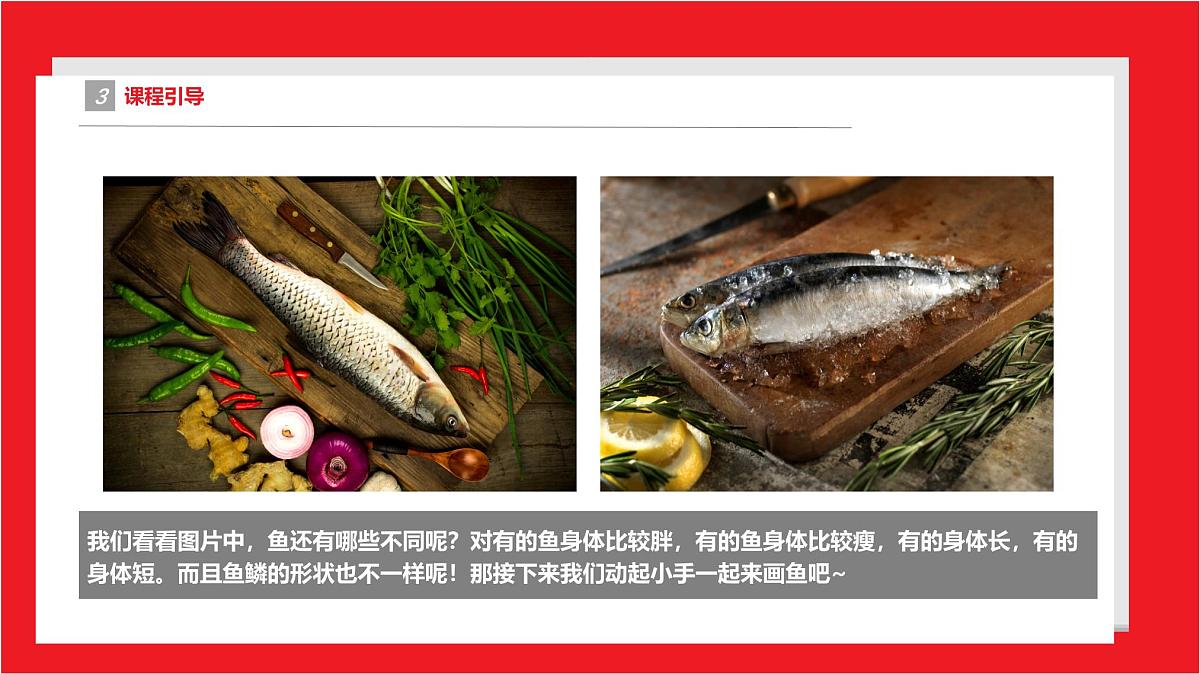 通用  学前教育  大班《案板上的鱼》课件第6页