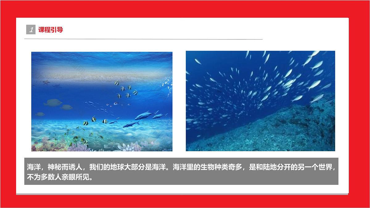 通用  学前教育  大班、《比赛》课件第4页