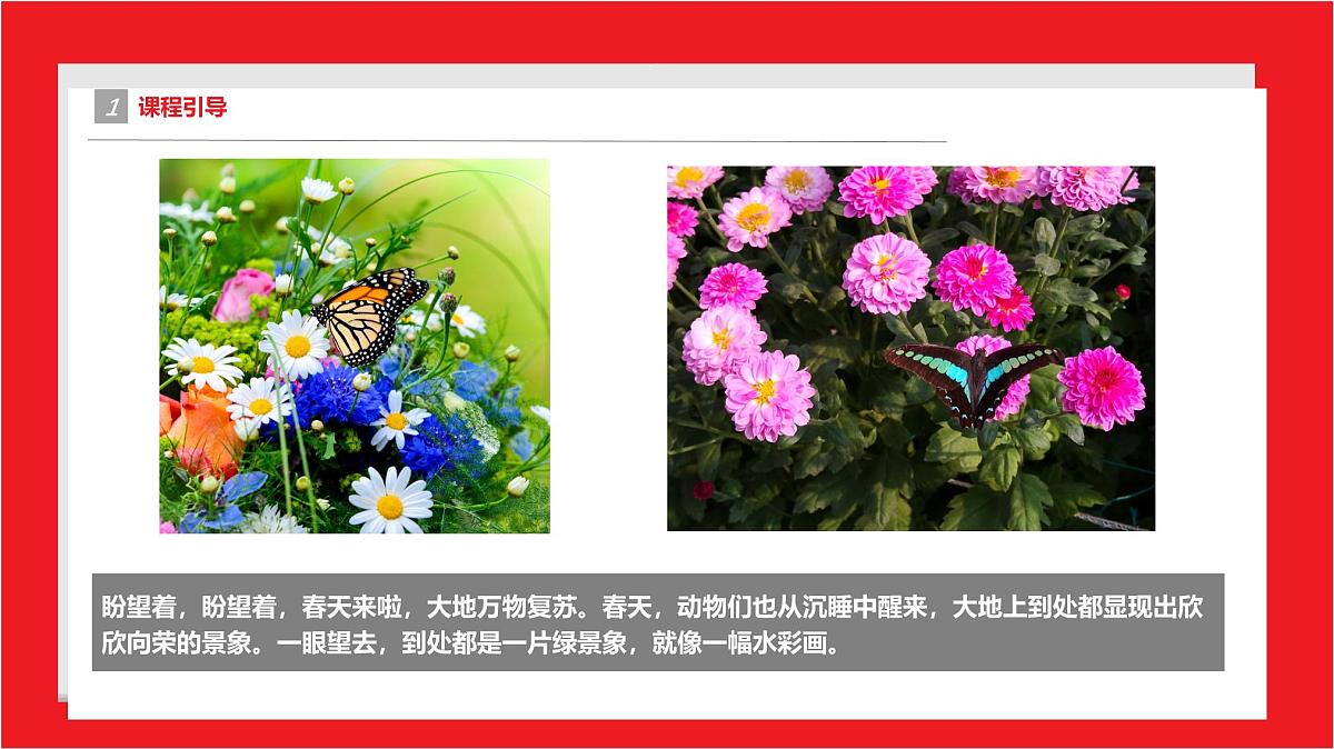 通用 学前教育 大班《春天花会开》课件第4页