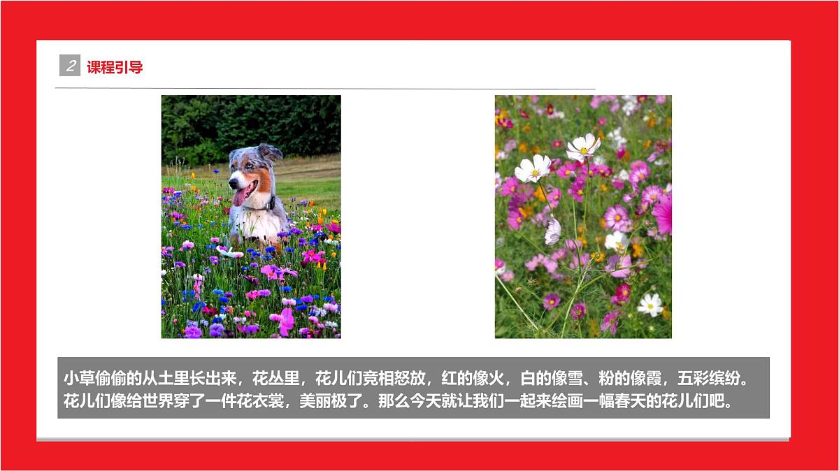 通用 学前教育 大班《春天花会开》课件第5页