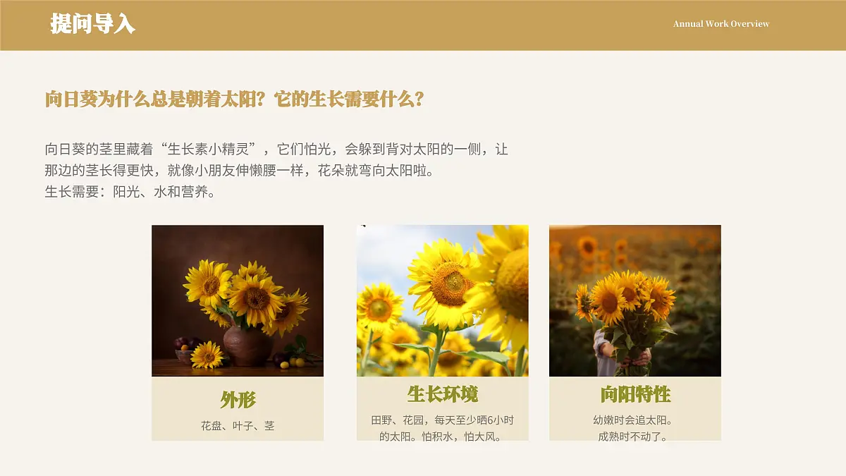艺术领域幼儿园大班音乐课程《向阳花》PPT课件第4页