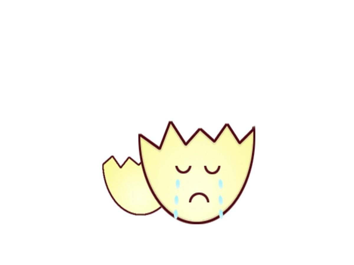 幼儿园小班语言课件PPT：小蛋壳第4页