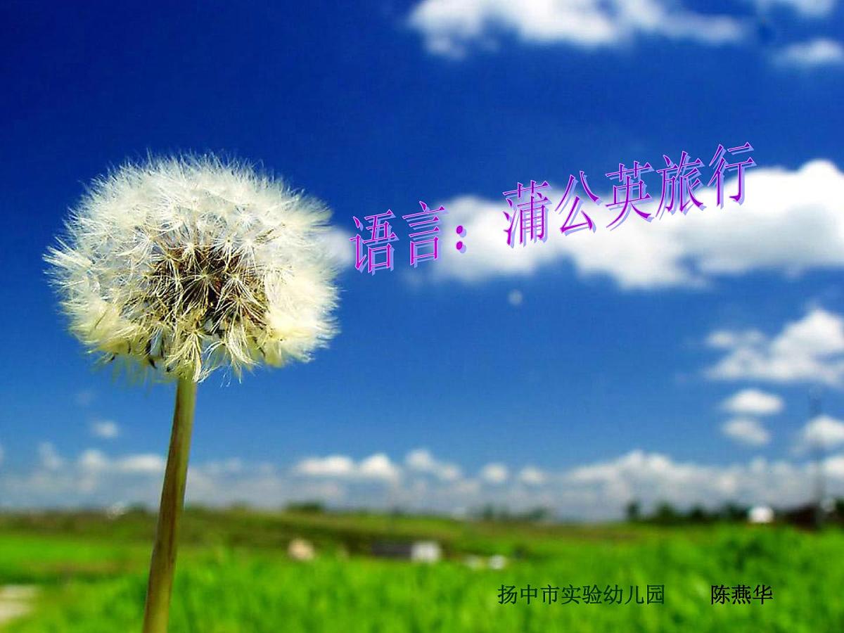 幼儿园中班故事课件PPT：蒲公英旅行记第1页