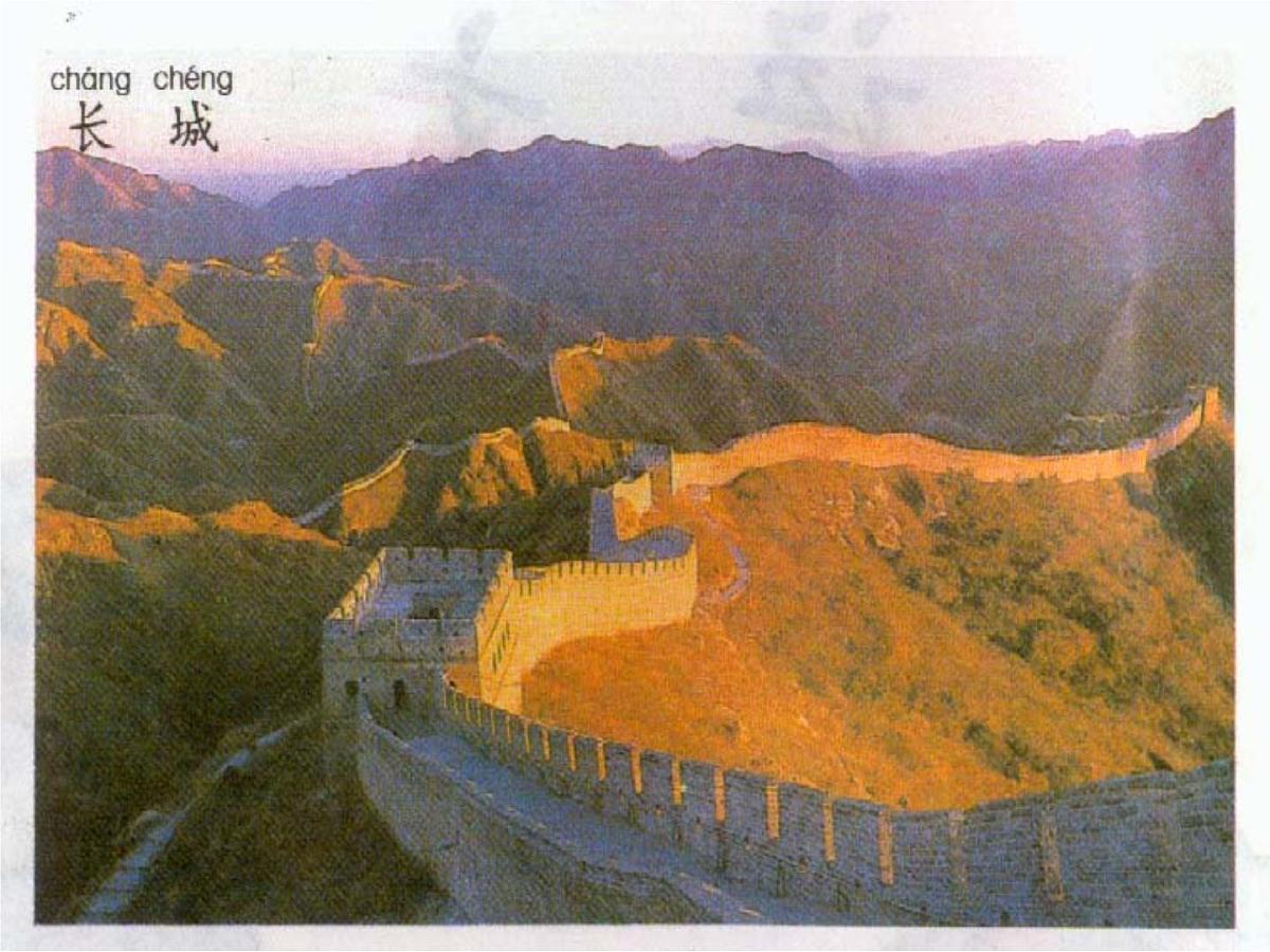 幼儿园中班故事课件PPT：蒲公英旅行记第8页