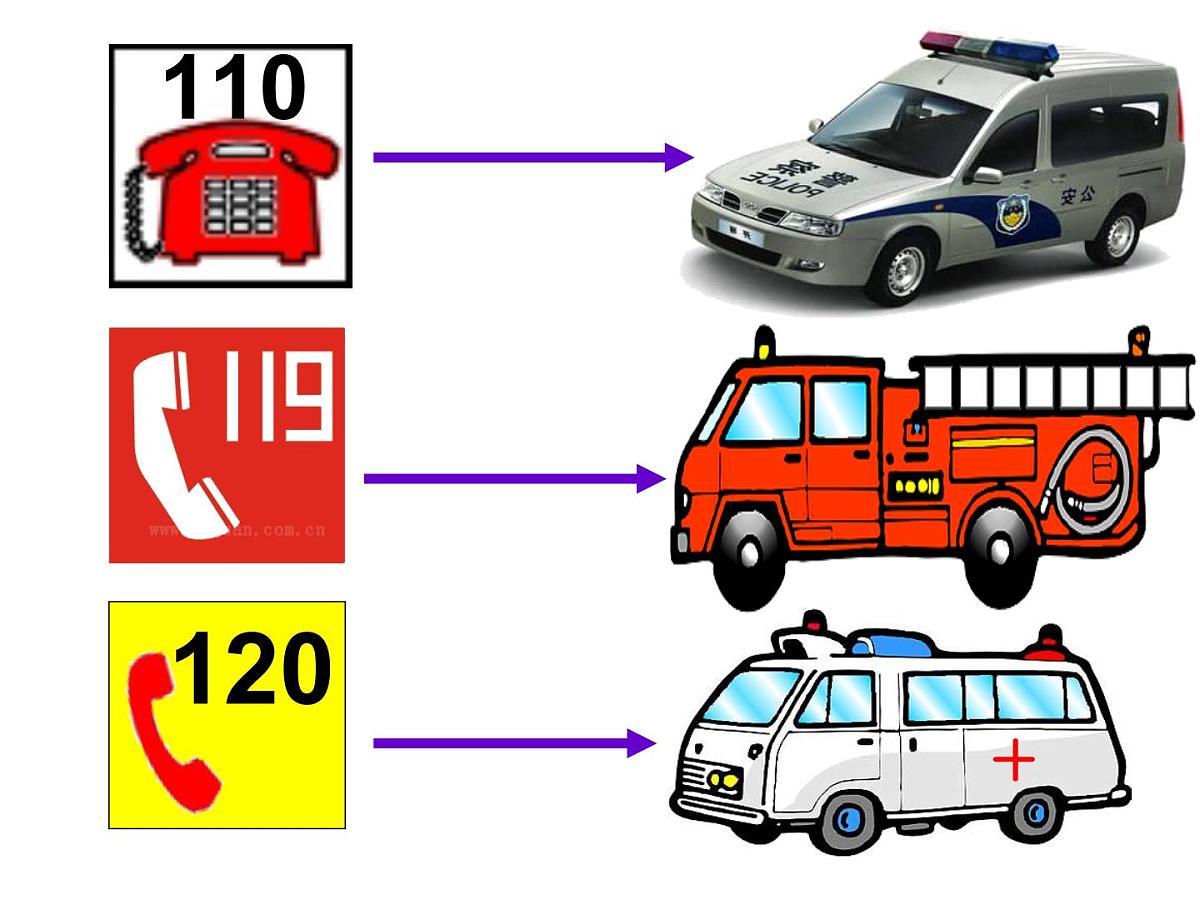 幼儿园中班数学课件：有趣的数第6页