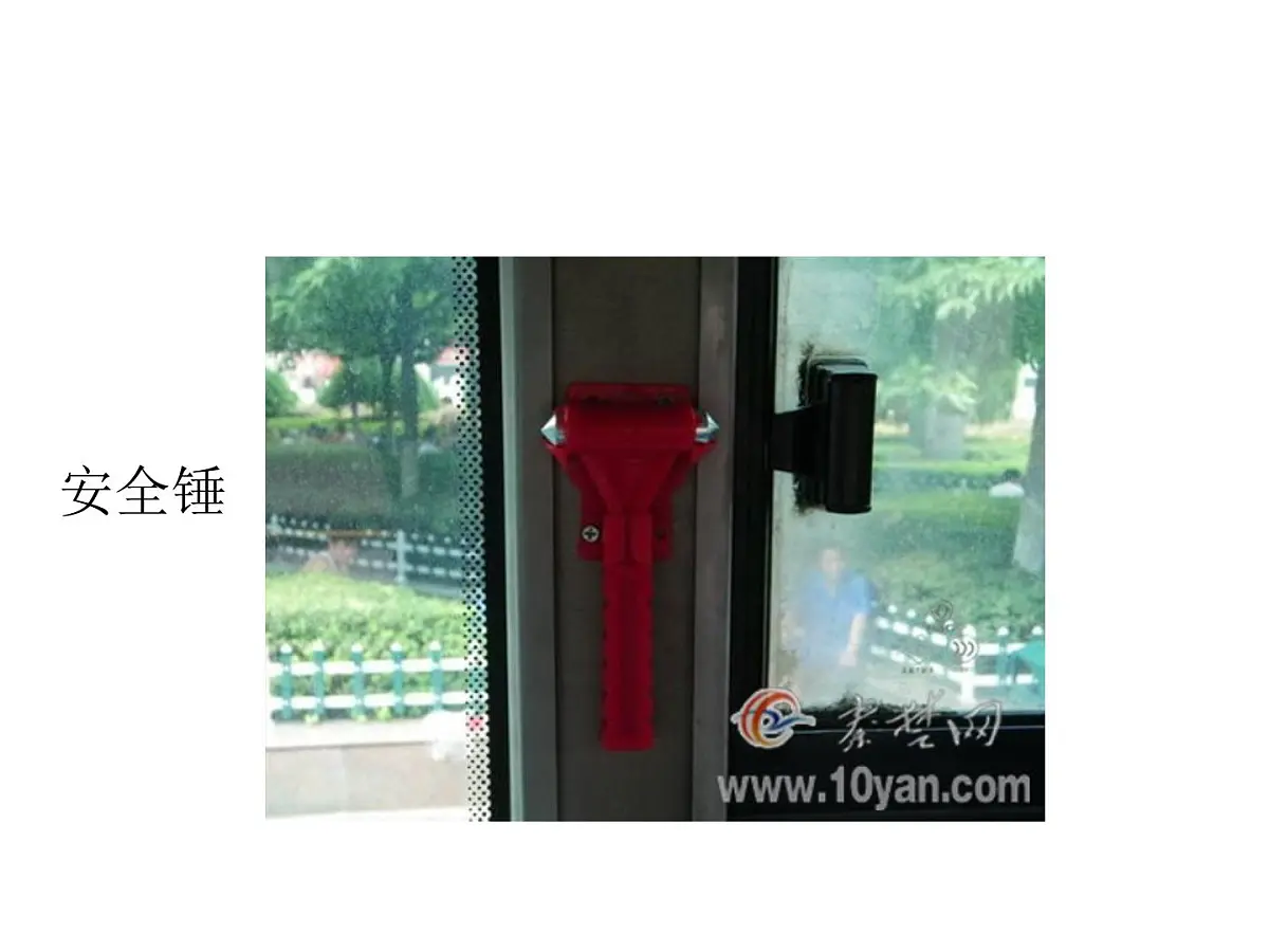 幼儿园中班课件（ppt）：公交车的秘密第6页