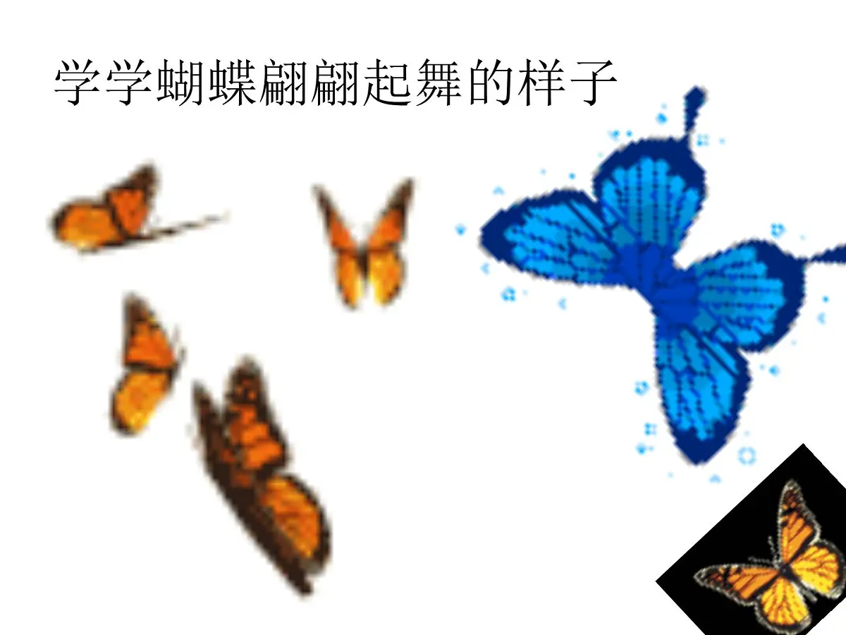 大班科学课件（ppt）：美丽的蝴蝶第2页